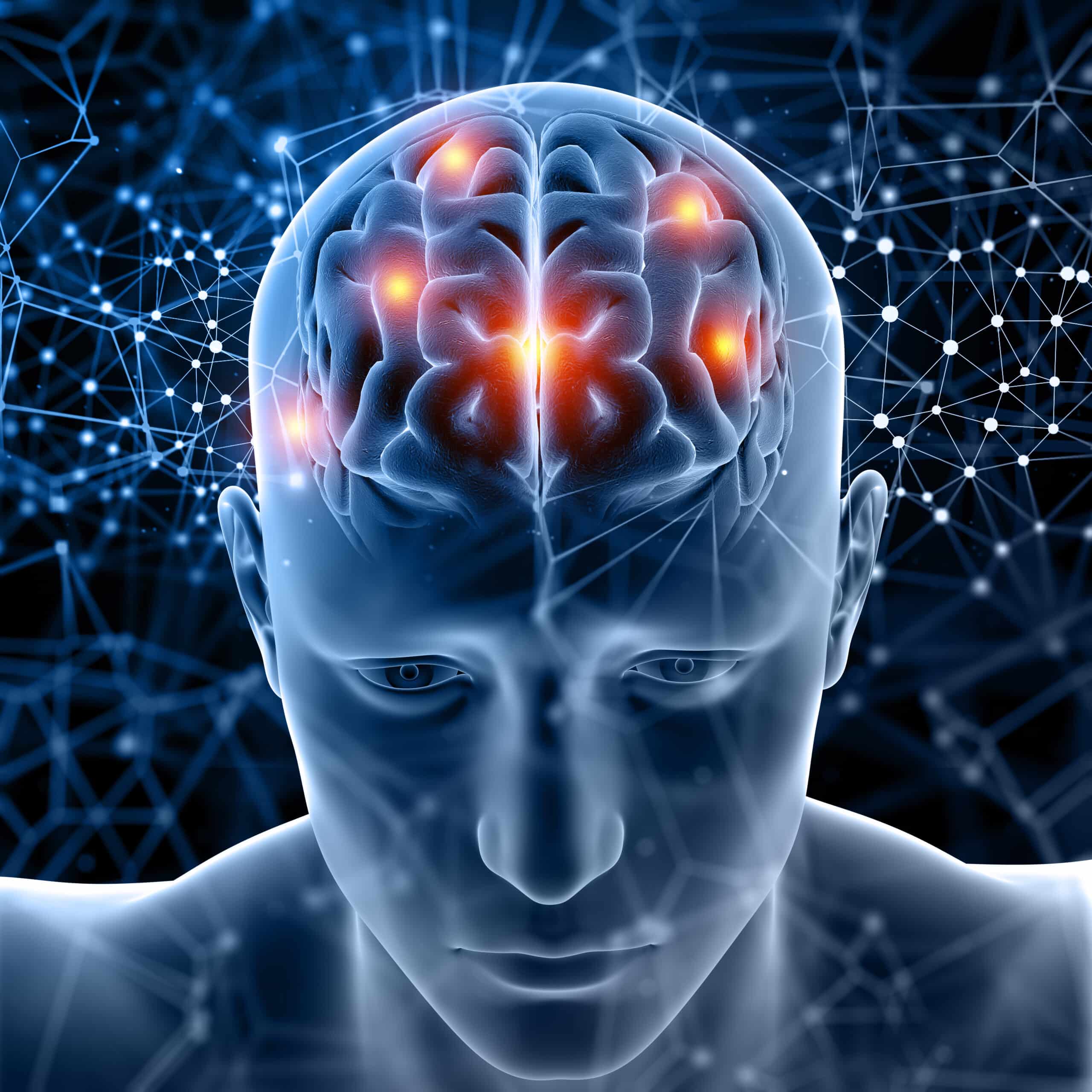 The brain system